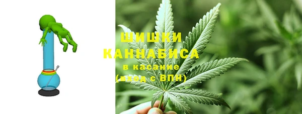 спайс Дмитриев