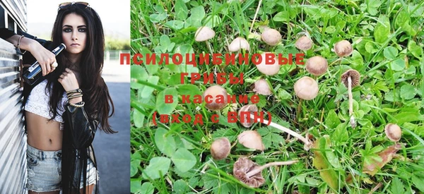 спайс Дмитриев
